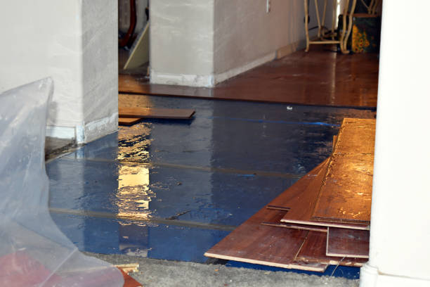 Professional Basement Water Removal technician working in Mount Hope, NJ